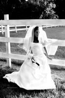 Bride By Fence