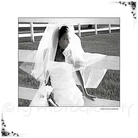 Bride By Fence-Framed