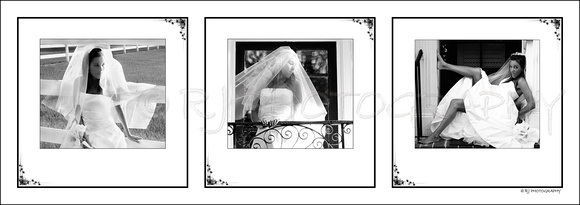 Bride- Wedding-Triptych