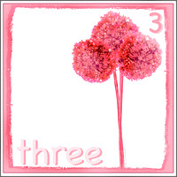 Sea Holly-Three
